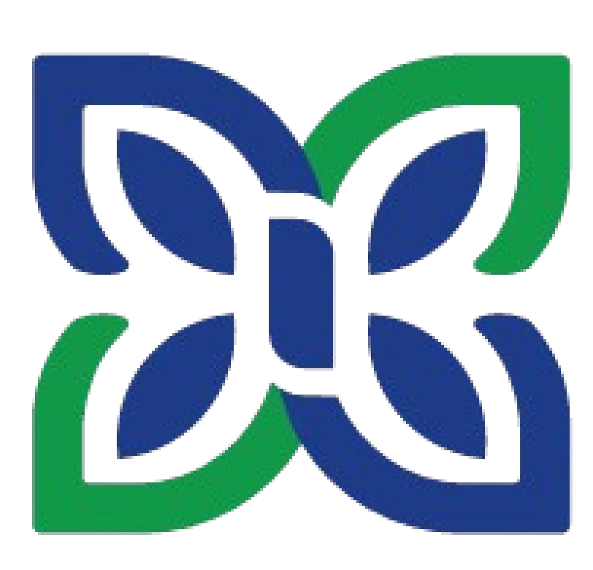 PT Koki Sehat Sejahtera